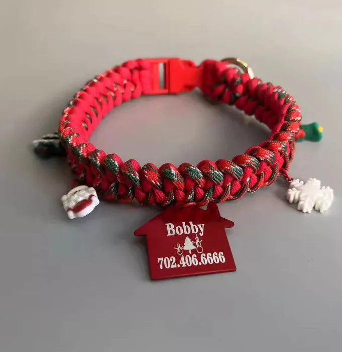 Green rope dog leash with P chain and a metal release buckle, held in a person's hand.