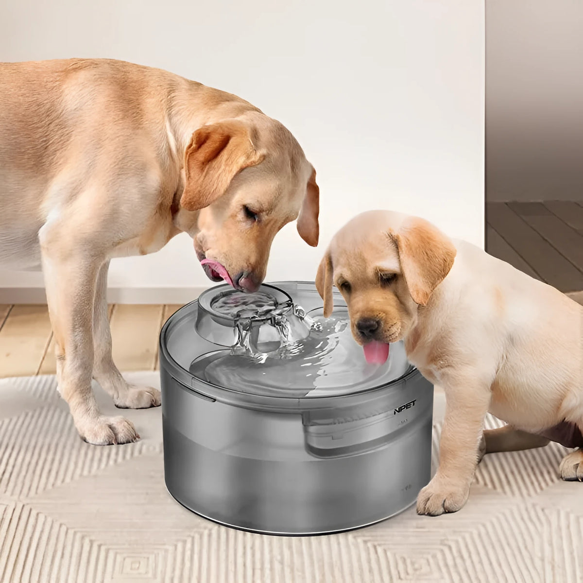 Automatic circulating pet water fountain with filter for cats and dogs in 5L or 8L size.