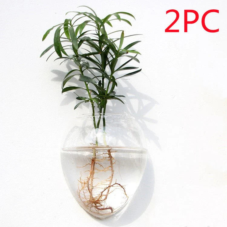 Wall-mounted glass flower vase and terrarium with various design options for customization and decoration