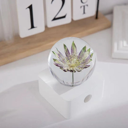 Small 8cm wide desktop night light featuring an artificial dandelion and sunflower arrangement with USB cable.