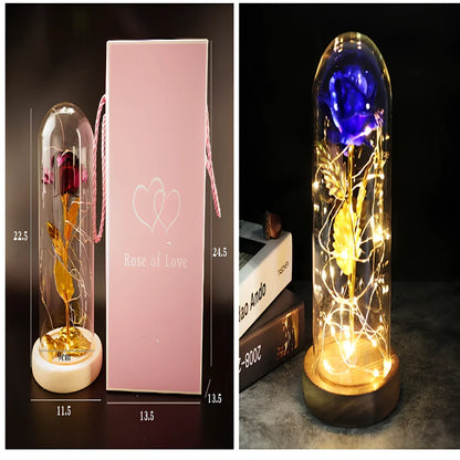 Little Prince Rose Glass Cover with 20cm diameter dome protecting plastic flower arrangement