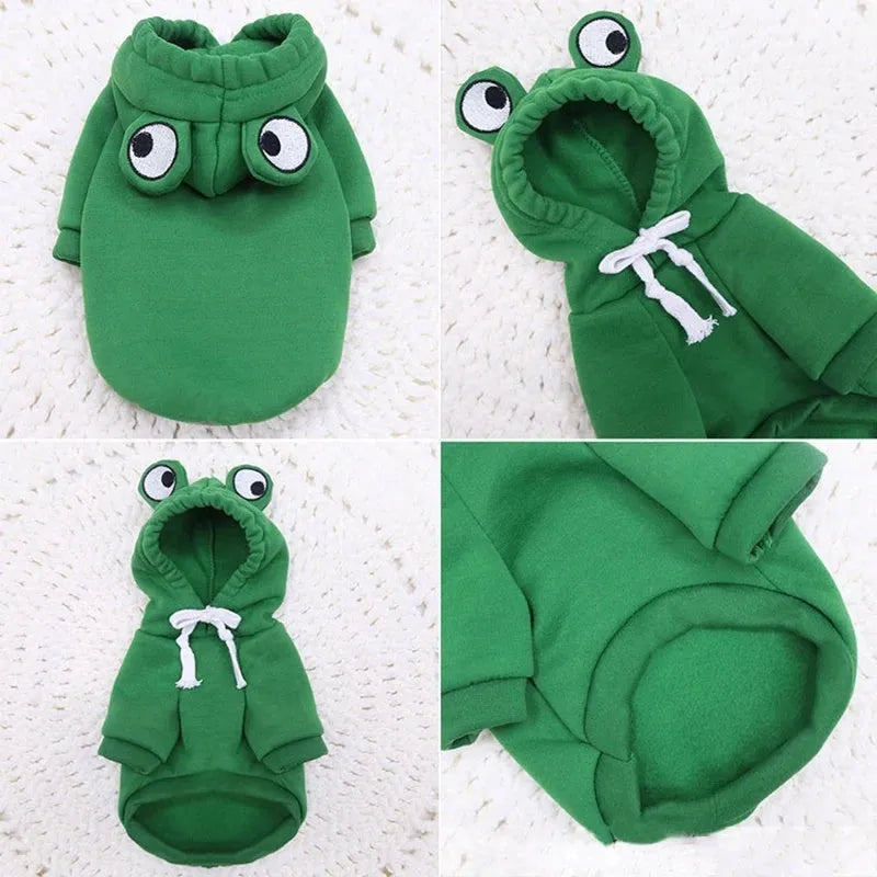 Green frog costume hoodie on small dog showing hood and four-leg design