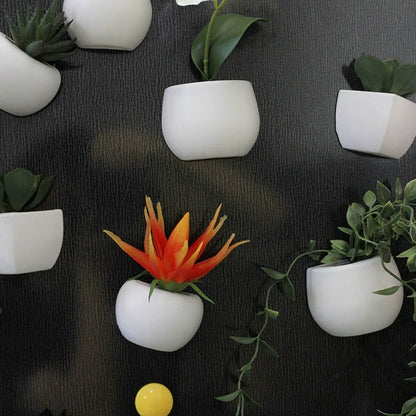 Realistic-looking succulent fridge magnets in various styles, designed to add natural charm and low-maintenance decor to any kitchen or home