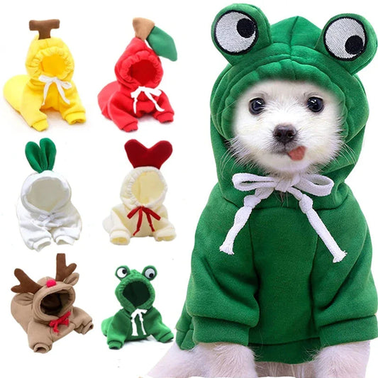 Cozy, fruit-themed dog hoodies in various sizes and styles to keep small pups warm and stylish during the winter season
