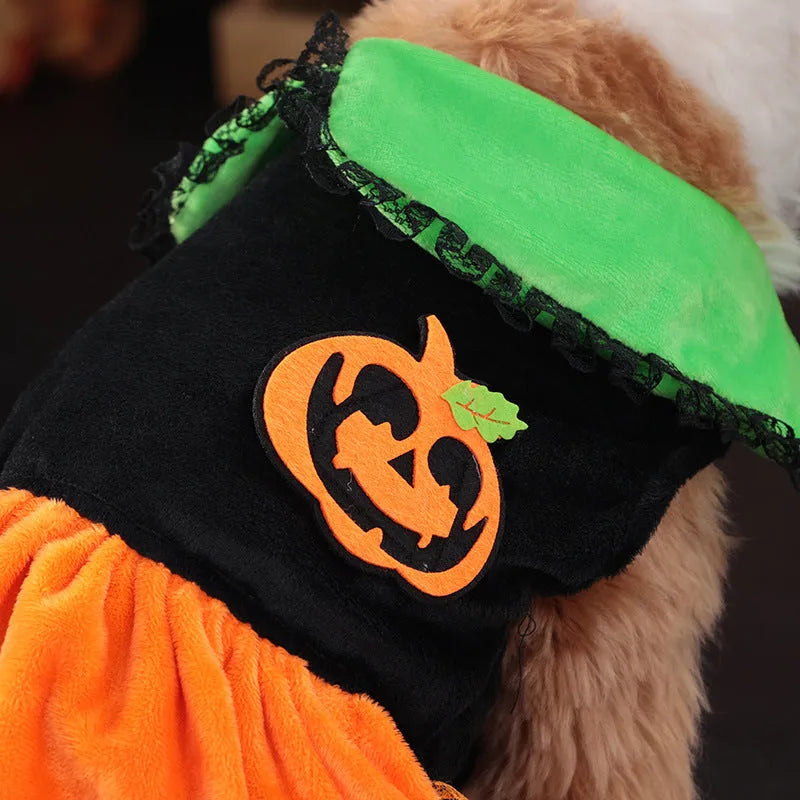 Orange Halloween pumpkin skirt costume and matching sweater for a small dog on a mannequin.