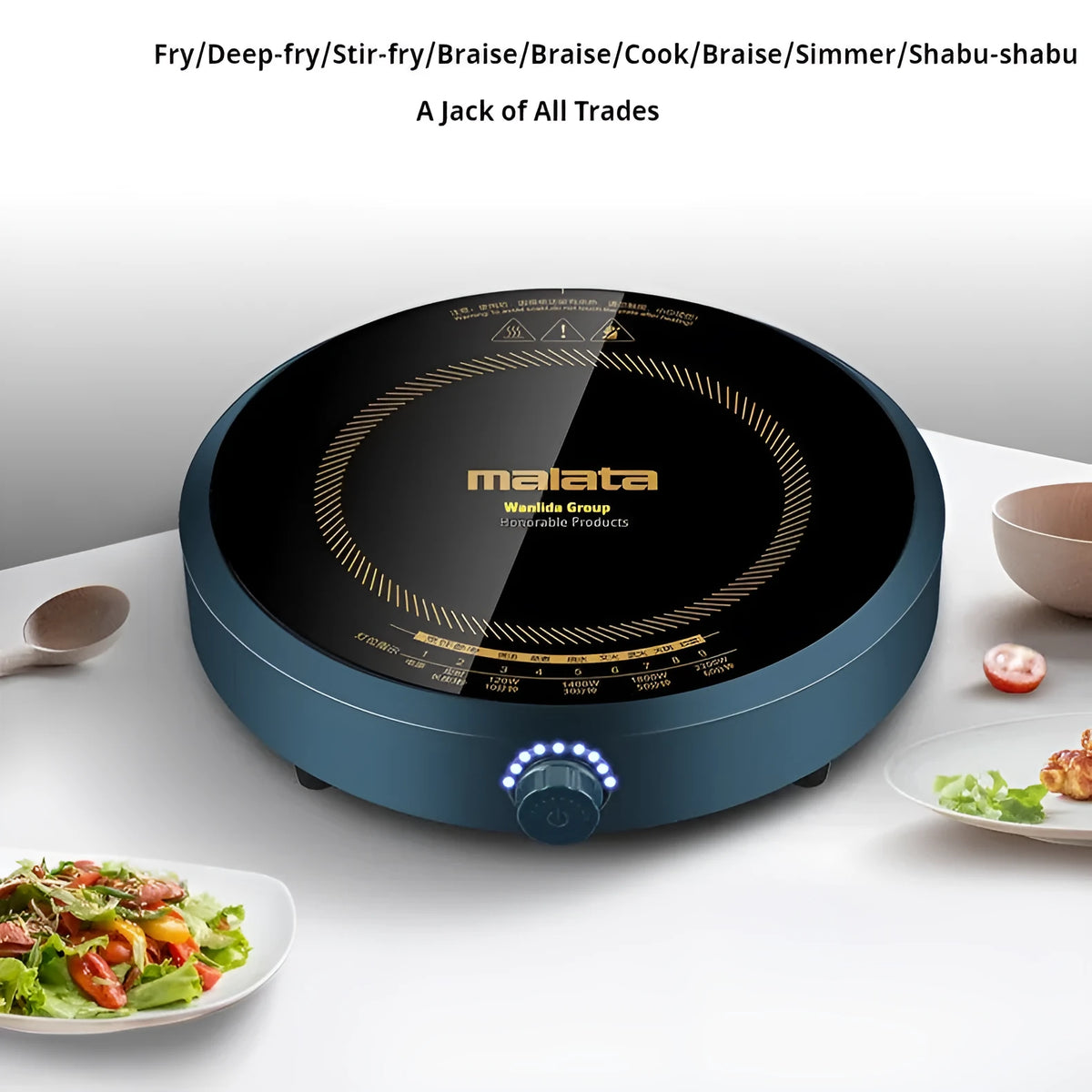 Induction cooker with circular glass hob and knob control