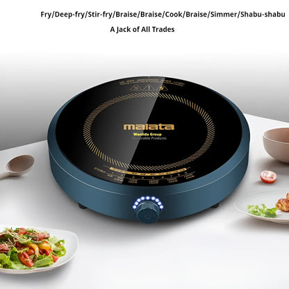 Induction cooker with circular glass hob and knob control