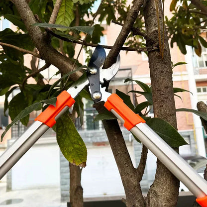Professional Bypass Pruning Shears for precise gardening and bonsai trimming