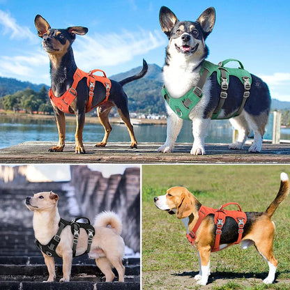 Reflective nylon dog harness with handle for small, medium, and large dogs, featuring adjustable straps and durable construction for comfortable, controlled walks.