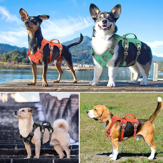 Reflective nylon dog harness with handle for small, medium, and large dogs, featuring adjustable straps and durable construction for comfortable, controlled walks.