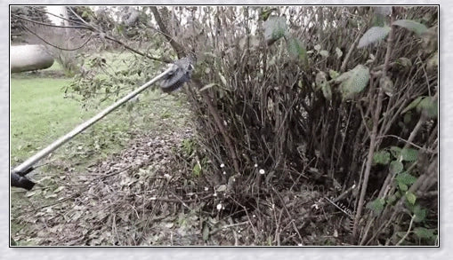 Heavy Duty Brushcutter with unique disc design and chainsaw teeth for efficient outdoor maintenance