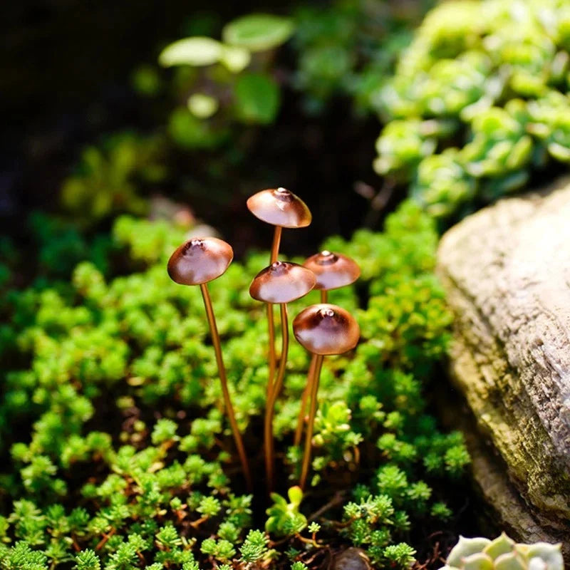 Creative Metal Simulation Mushroom Courtyard Decoration, featuring lifelike metal mushrooms in a natural, whimsical setting