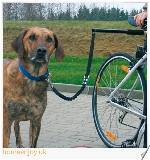 A hands-free dog leash designed for cycling, with a sturdy metal pole and flexible leash for safe and comfortable rides with your canine companion.