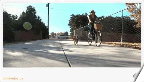 A hands-free dog leash designed for cycling, with a sturdy metal pole and flexible leash for safe and comfortable rides with your canine companion.