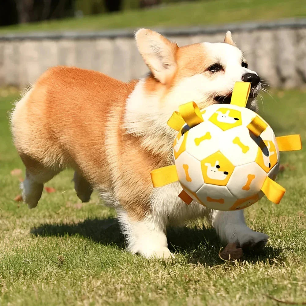 An interactive dog toy in the shape of a football, featuring easy-to-grab tabs for engaging playtime.
