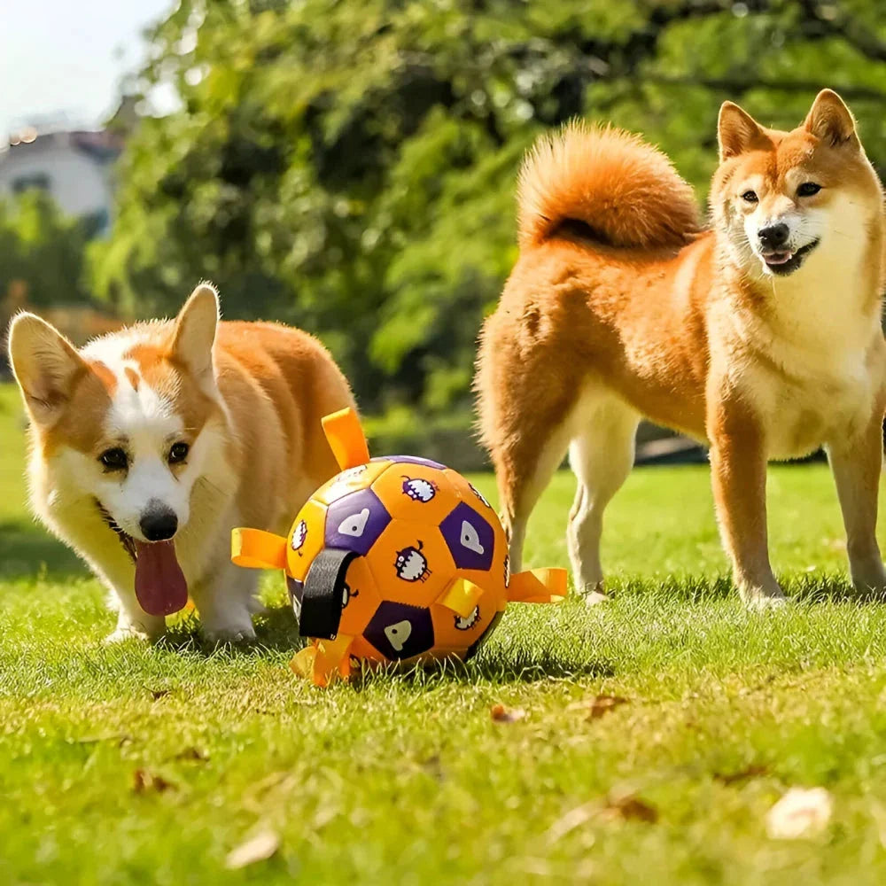 An interactive dog toy in the shape of a football, featuring easy-to-grab tabs for engaging playtime.