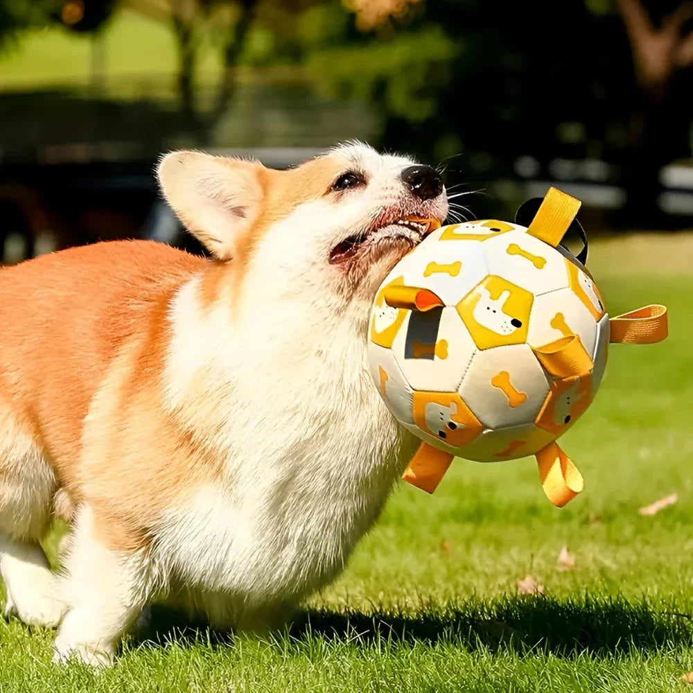 An interactive dog toy in the shape of a football, featuring easy-to-grab tabs for engaging playtime.