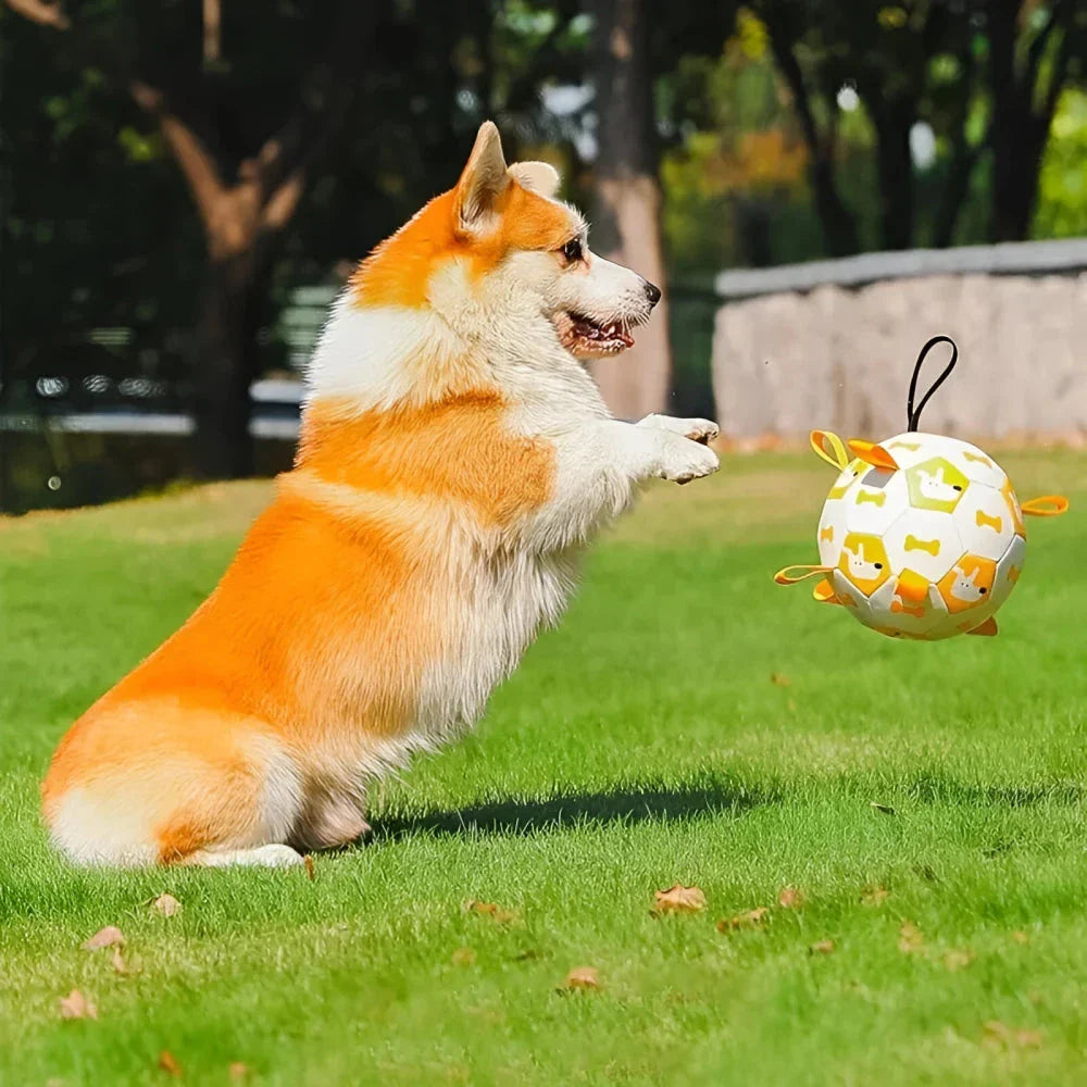 An interactive dog toy in the shape of a football, featuring easy-to-grab tabs for engaging playtime.