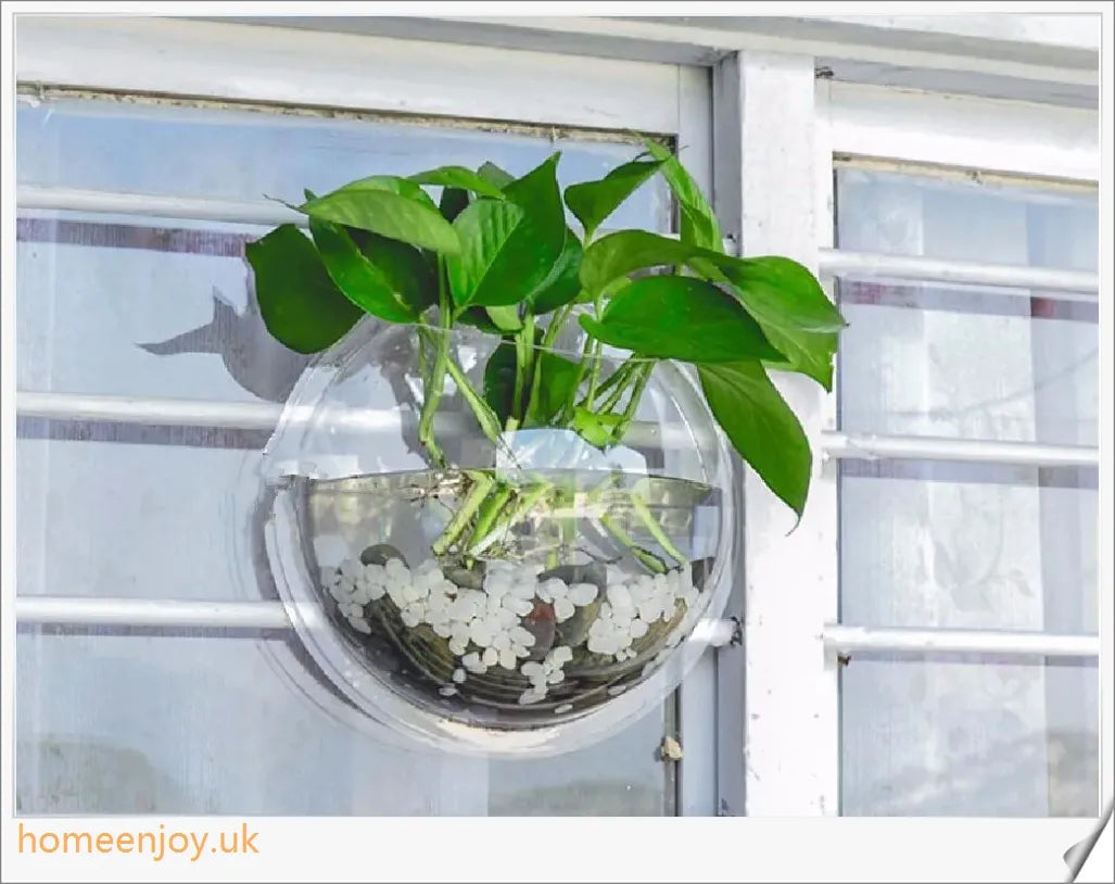 Elegant wall-mounted Betta fish aquarium made of transparent acrylic, showcasing aquatic pets in a stylish and space-saving display.