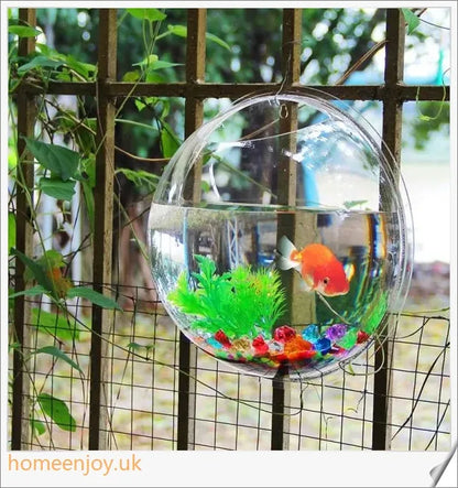 Elegant wall-mounted Betta fish aquarium made of transparent acrylic, showcasing aquatic pets in a stylish and space-saving display.