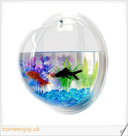 Elegant wall-mounted Betta fish aquarium made of transparent acrylic, showcasing aquatic pets in a stylish and space-saving display.