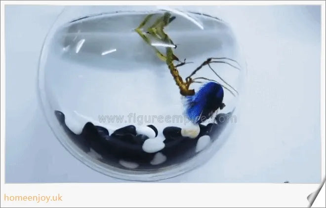 Elegant wall-mounted Betta fish aquarium made of transparent acrylic, showcasing aquatic pets in a stylish and space-saving display.
