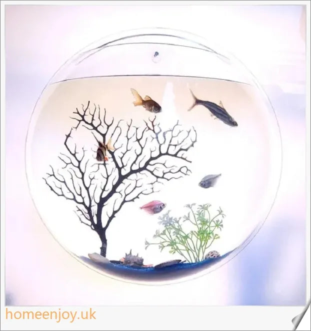 Elegant wall-mounted Betta fish aquarium made of transparent acrylic, showcasing aquatic pets in a stylish and space-saving display.