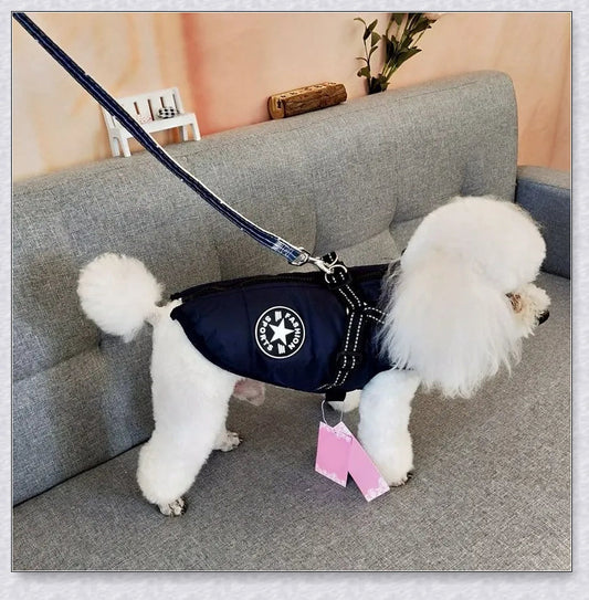 Premium winter dog jacket with waterproof, reflective, and adjustable features for outdoor adventures