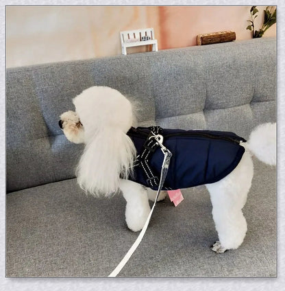 Premium winter dog jacket with waterproof, reflective, and adjustable features for outdoor adventures