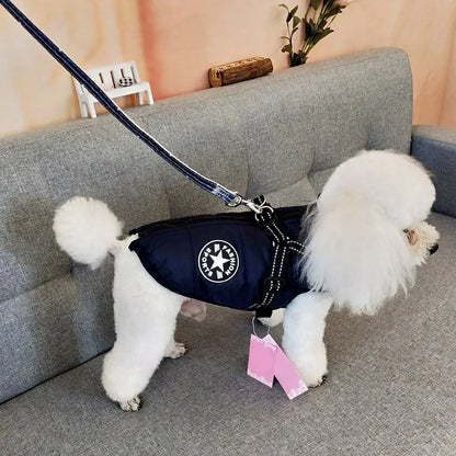 Premium winter dog jacket with waterproof, reflective, and adjustable features for outdoor adventures