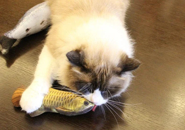 Catnip-filled plush fish toy for cats in various sizes, designed to satisfy scratching and chewing instincts