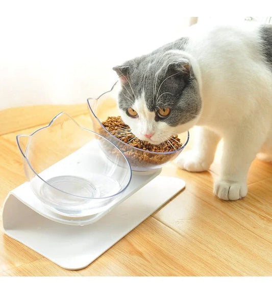 Premium Non-Slip Cat Bowls with Raised Stand in Black and Grey, designed to promote slower eating and reduce vomiting for cats