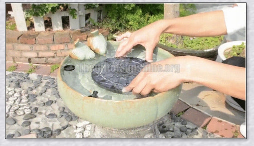 Solar-powered bird bath water fountain pump in a garden or pond setting, creating a relaxing display of water