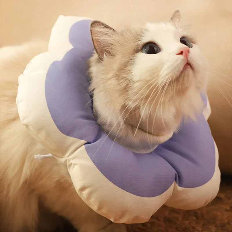 Adjustable cotton cat recovery collar with solar flower design in various colours