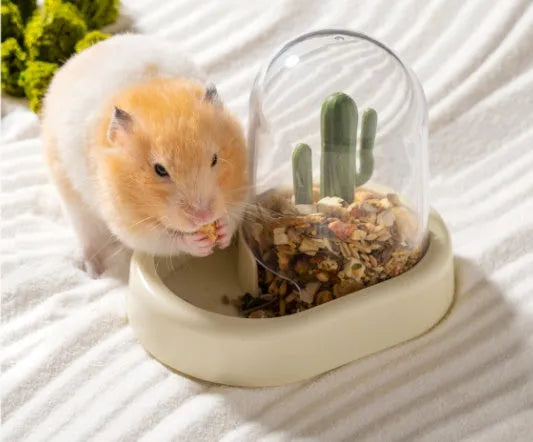 Cactus-shaped automatic hamster feeder with transparent food compartment in mint green colour