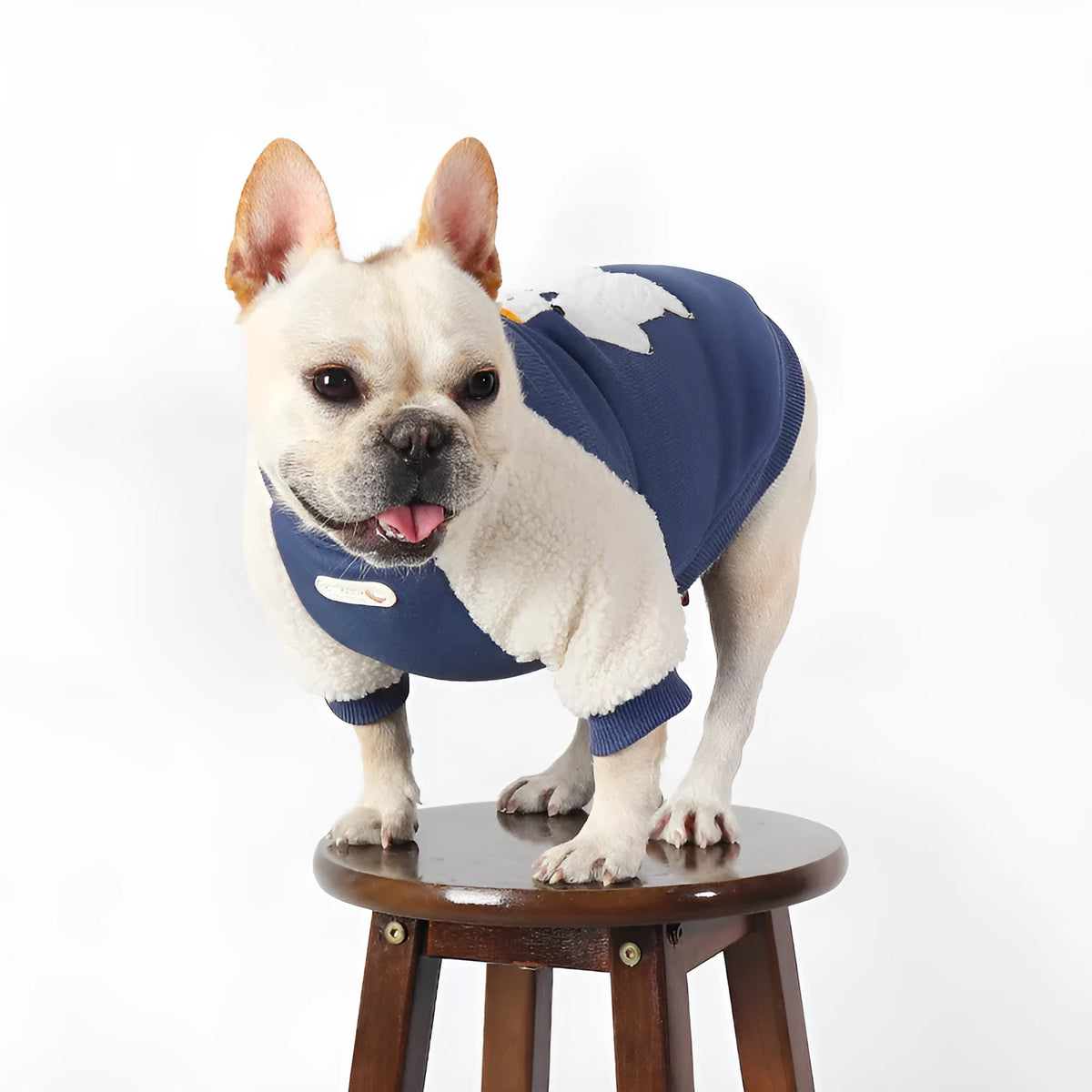 Dark blue fleece-lined cotton winter jumper for dogs on a white background