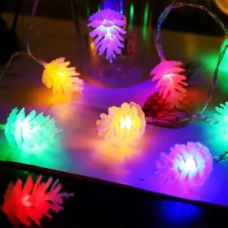 LED transparent pine nut fairy lights in warm white colour on 3 metre string