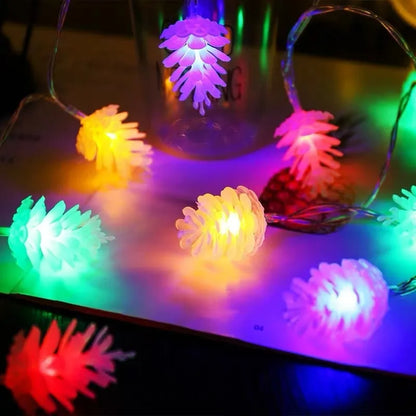 LED transparent pine nut fairy lights in warm white colour on 3 metre string