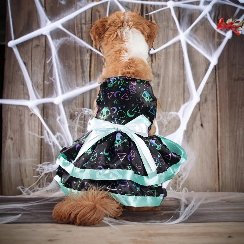 Halloween dog skirt with colourful pumpkin design, double-layer construction, elastic waistband on small dog