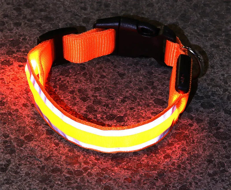 LED luminous dog collar with nylon webbing in multiple colour options showing illumination
