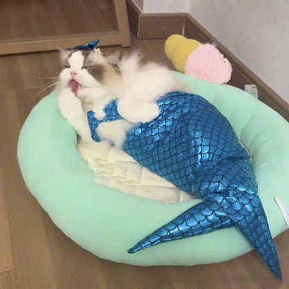 Blue pet mermaid costume with fish tail on a small cat, showing elastic chest strap and decorative bow.