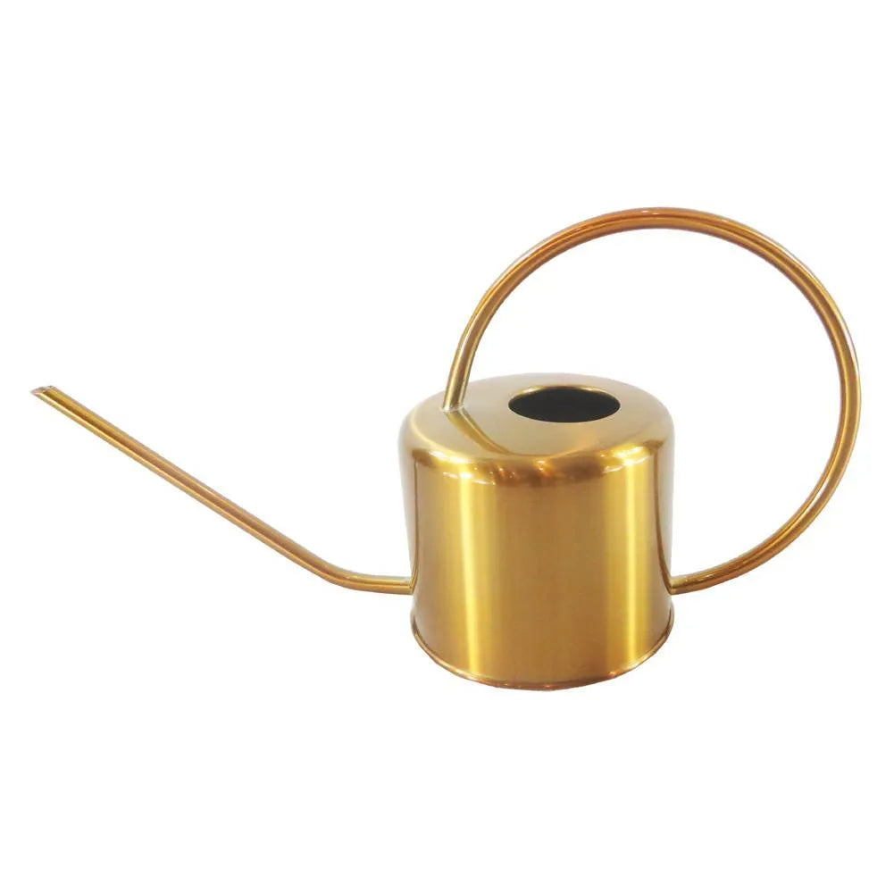 Stainless steel watering can with long spout, 2 litre capacity, shown in metallic finish.