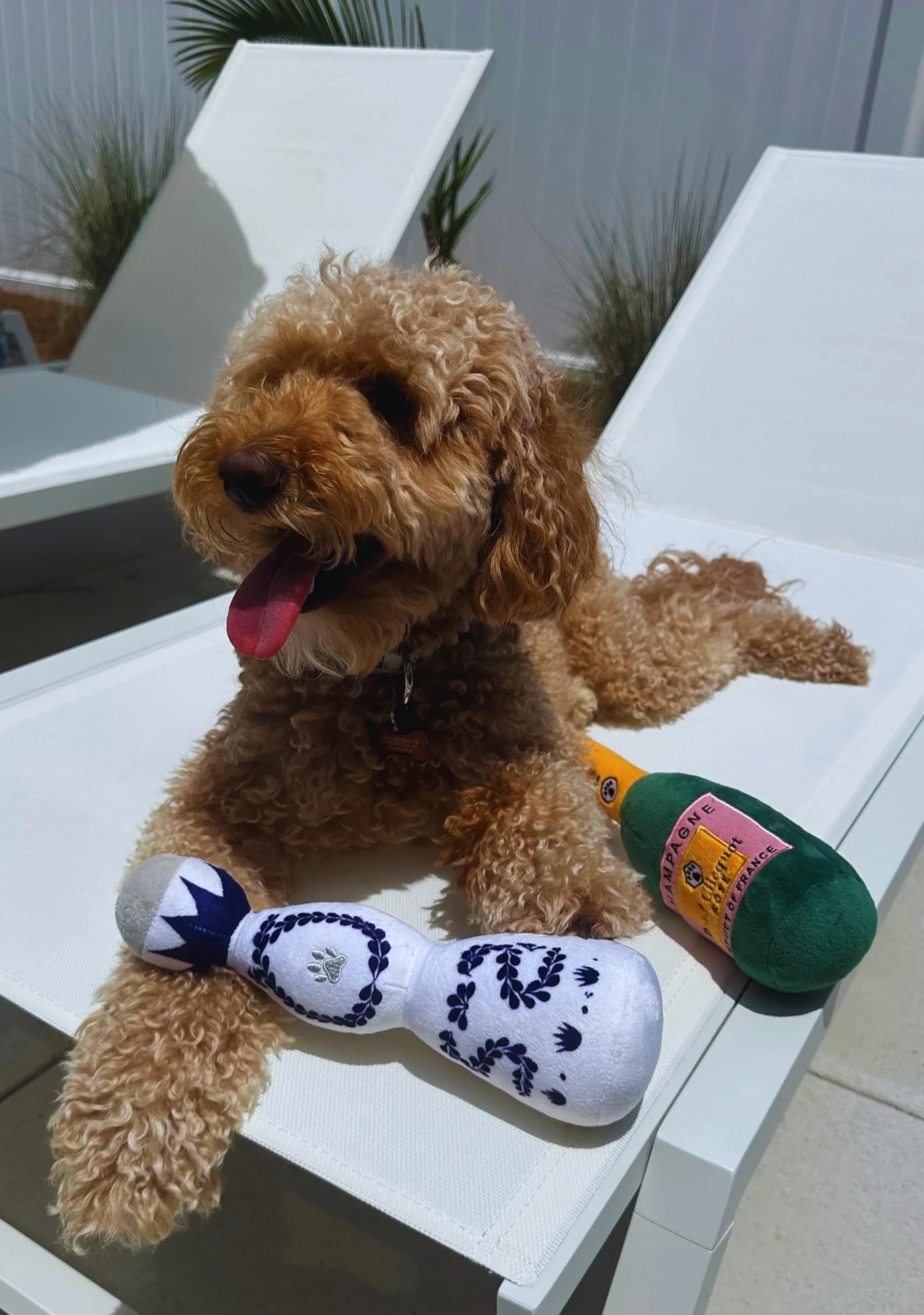 Red and white tequila bottle plush dog toy with squeaker, 26 cm tall