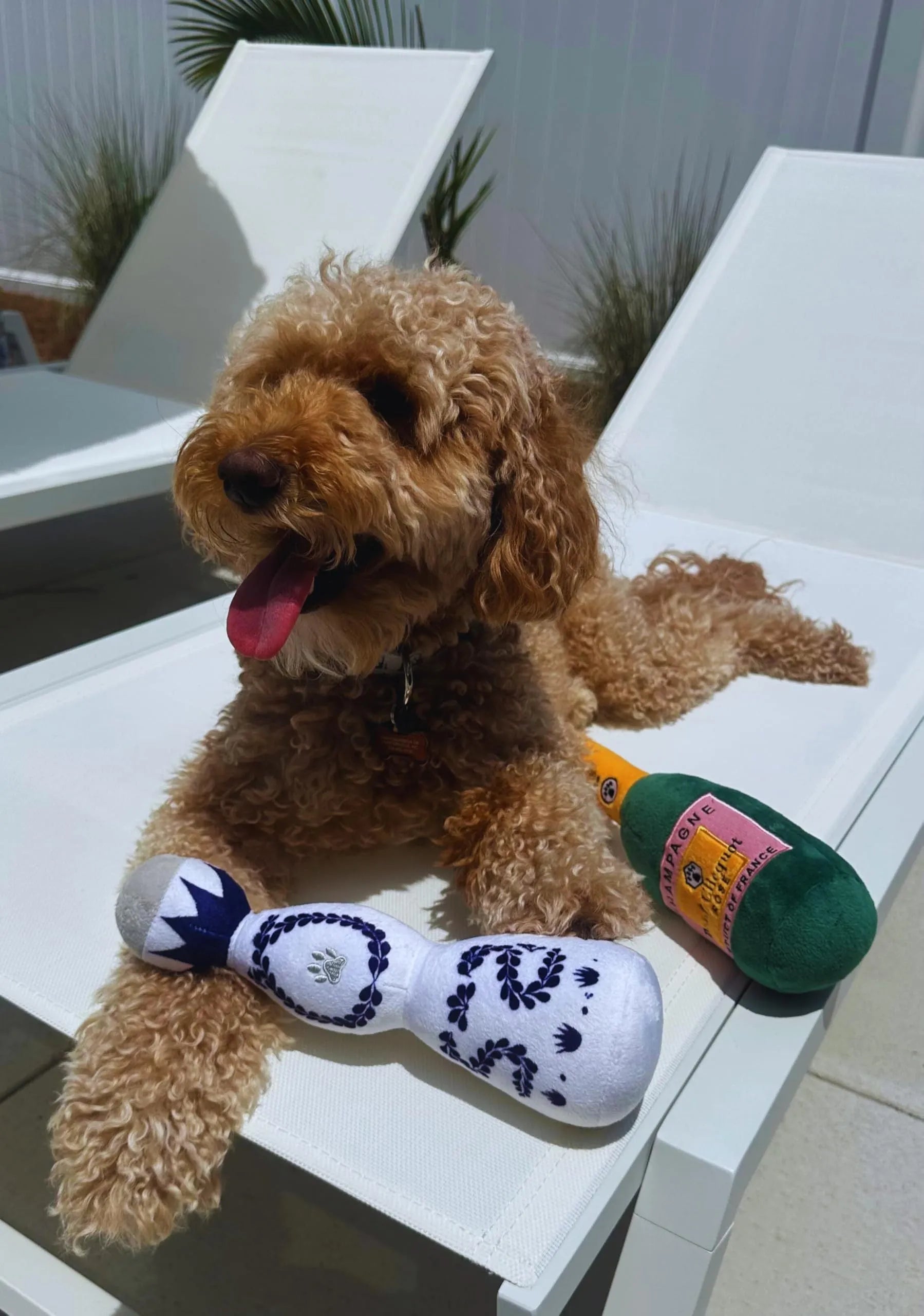 Red and white tequila bottle plush dog toy with squeaker, 26 cm tall