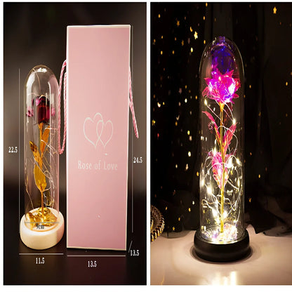 Little Prince Rose Glass Cover with 20cm diameter dome protecting plastic flower arrangement