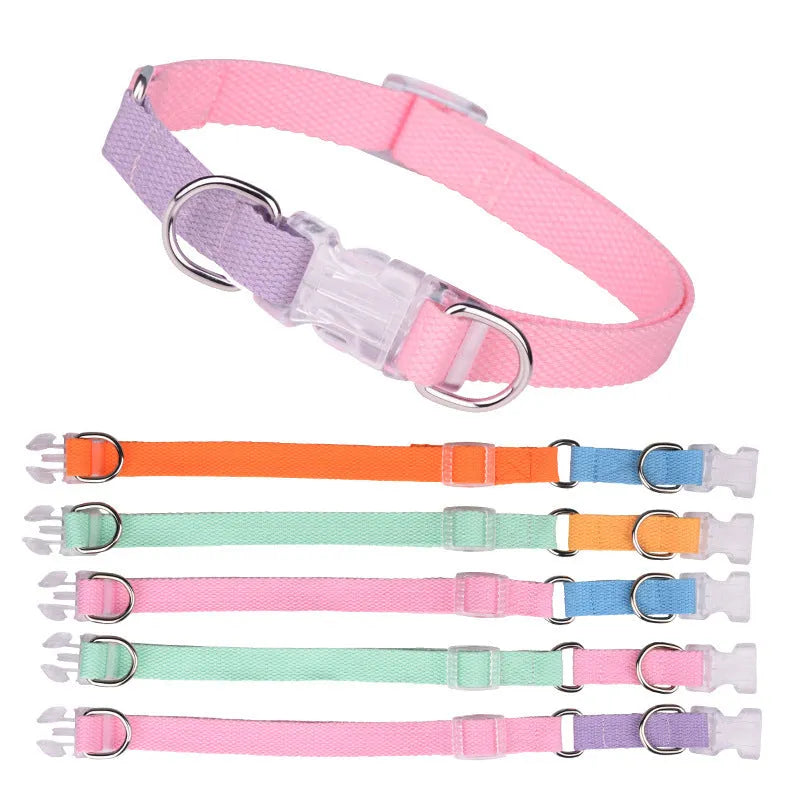 Polyester ribbon dog collar and lead set with chest strap in assorted colours.