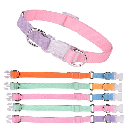 Polyester ribbon dog collar and lead set with chest strap in assorted colours.