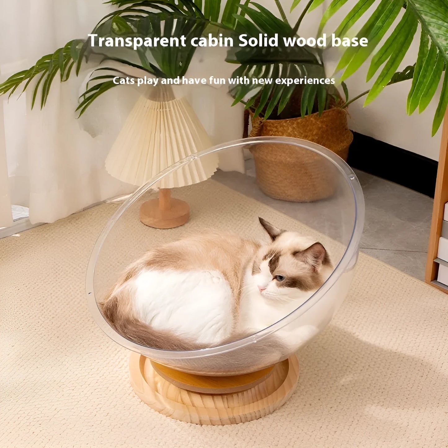 Transparent acrylic space capsule cat bed on a turntable base for cats.