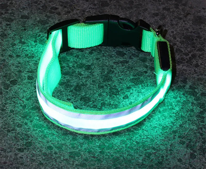 LED luminous dog collar with nylon webbing in multiple colour options showing illumination
