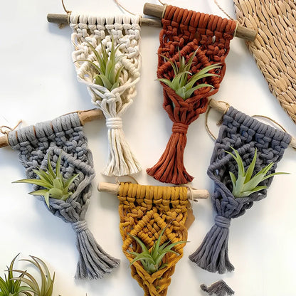 Hand-woven cotton macrame plant hanger with 15cm wooden basket displaying air plant